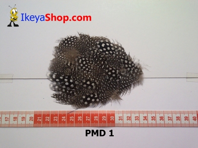 bulu PAD motif PMD 1   feather  large2